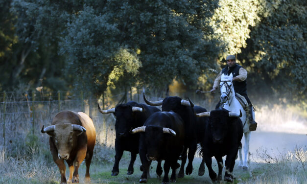 La bravura, el gran pilar de la Fiesta