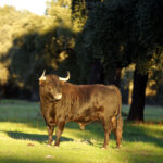 Dolores Aguirre. Camada 2018