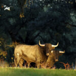 Dolores Aguirre. Camada 2018