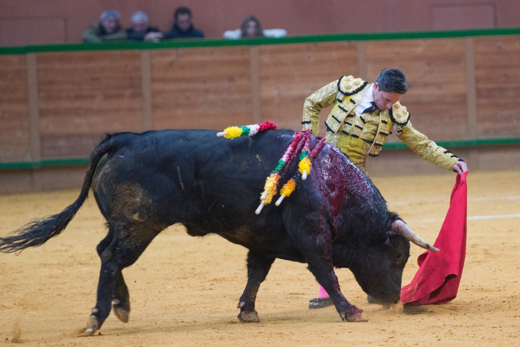 Fitero - Sábado 17 de marzo de 2018