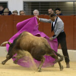 Festival homenaje en Las Rozas a Morenito de Maracay - Sábado 3 de marzo de 2018