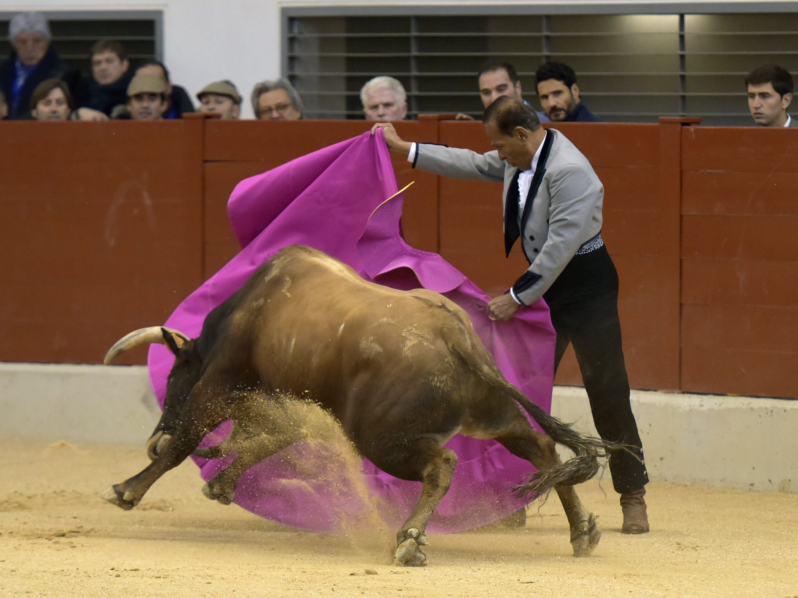 Festival homenaje en Las Rozas a Morenito de Maracay - Sábado 3 de marzo de 2018