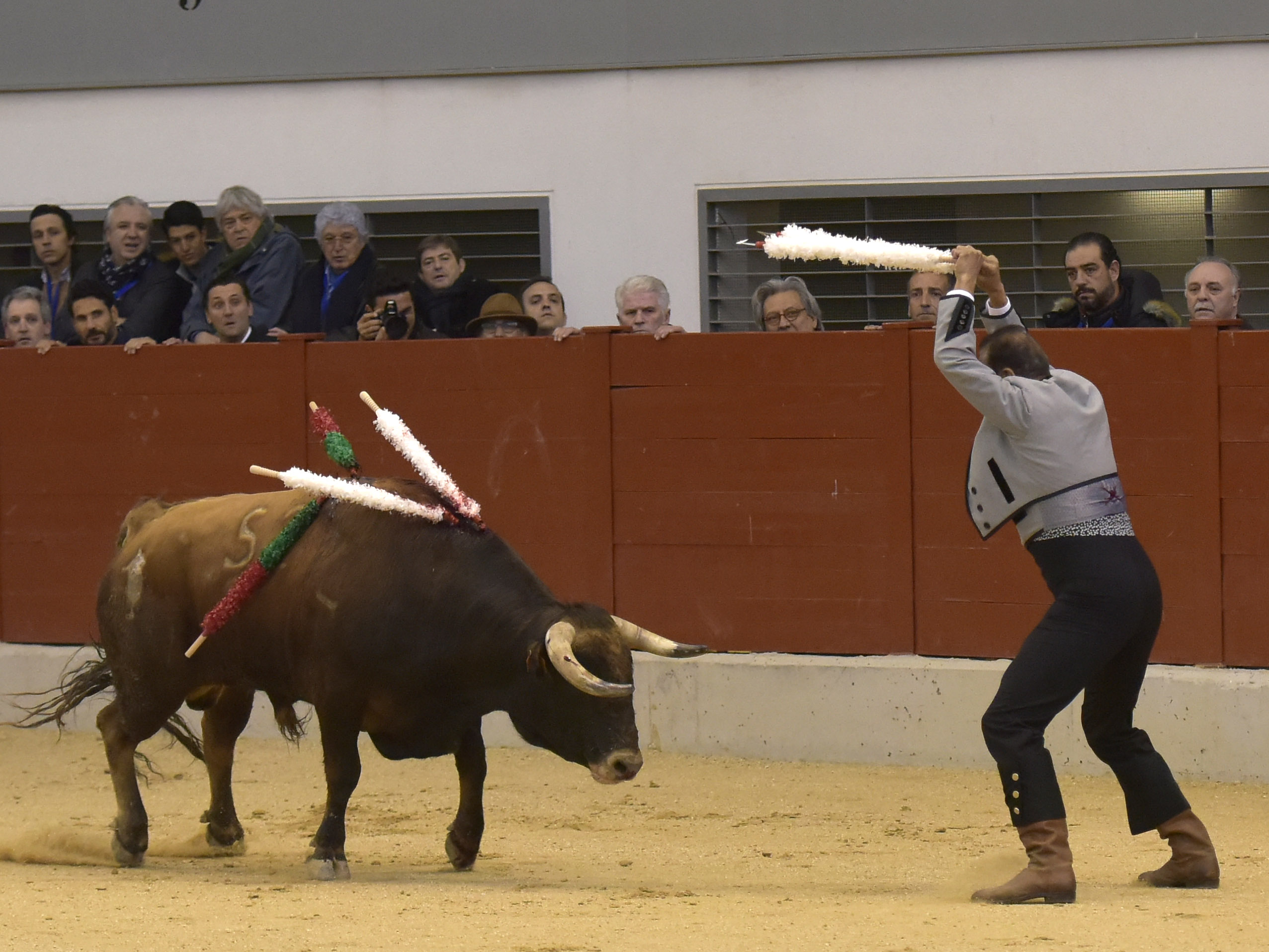 Festival homenaje en Las Rozas a Morenito de Maracay - Sábado 3 de marzo de 2018