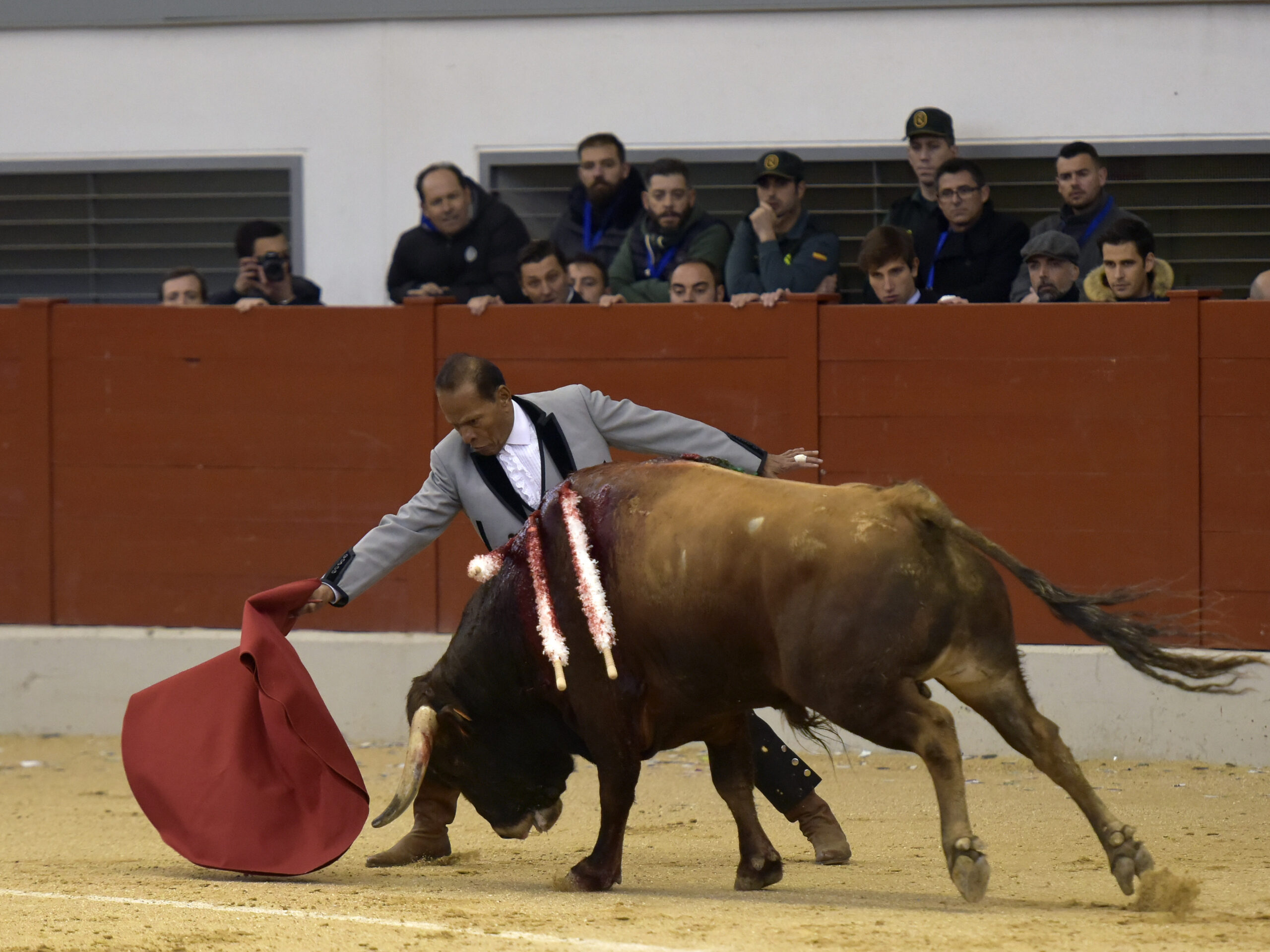 Festival homenaje en Las Rozas a Morenito de Maracay - Sábado 3 de marzo de 2018