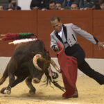 Festival homenaje en Las Rozas a Morenito de Maracay - Sábado 3 de marzo de 2018