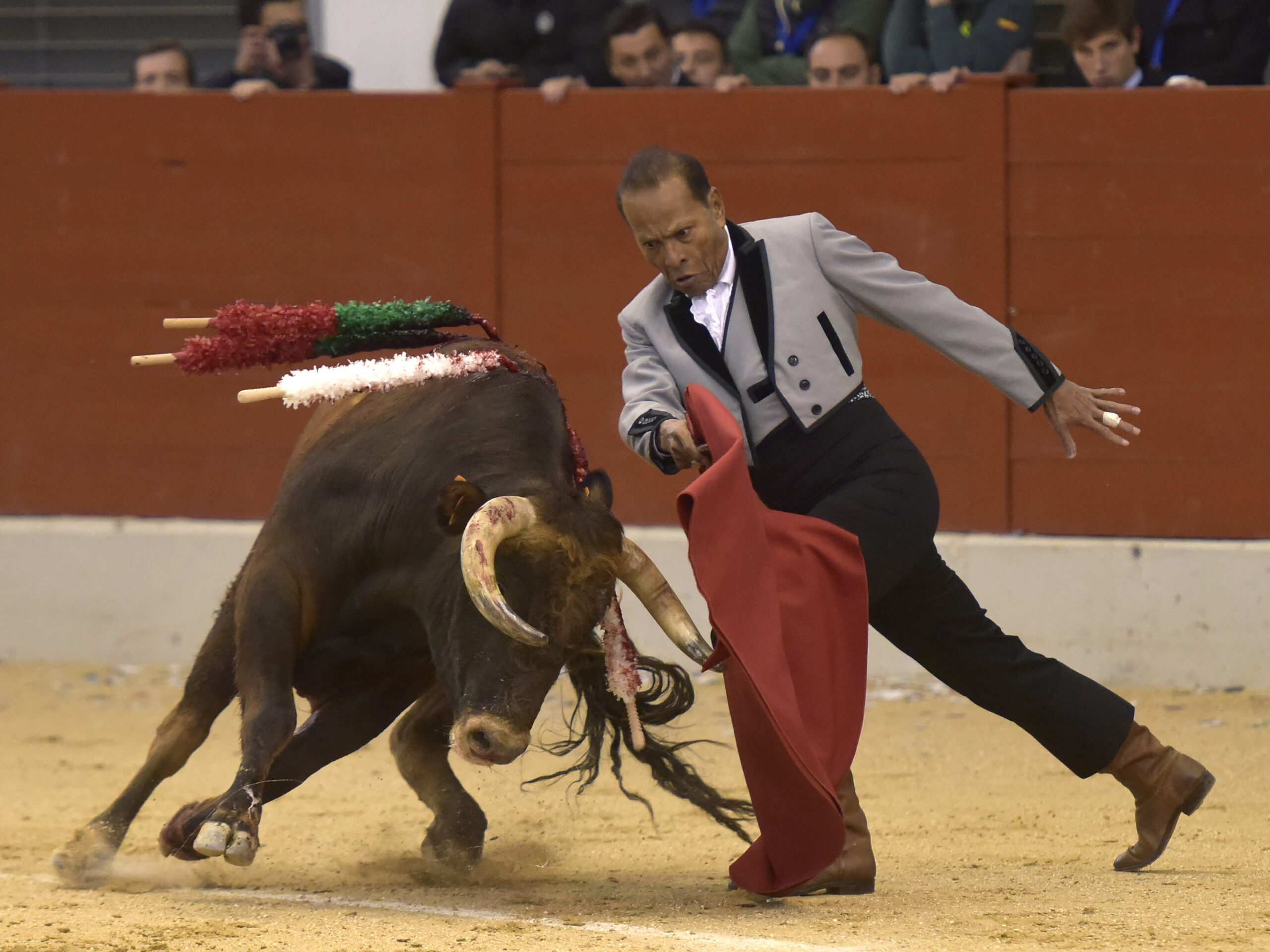 Festival homenaje en Las Rozas a Morenito de Maracay - Sábado 3 de marzo de 2018