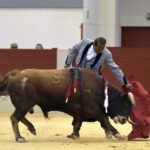 Festival homenaje en Las Rozas a Morenito de Maracay - Sábado 3 de marzo de 2018