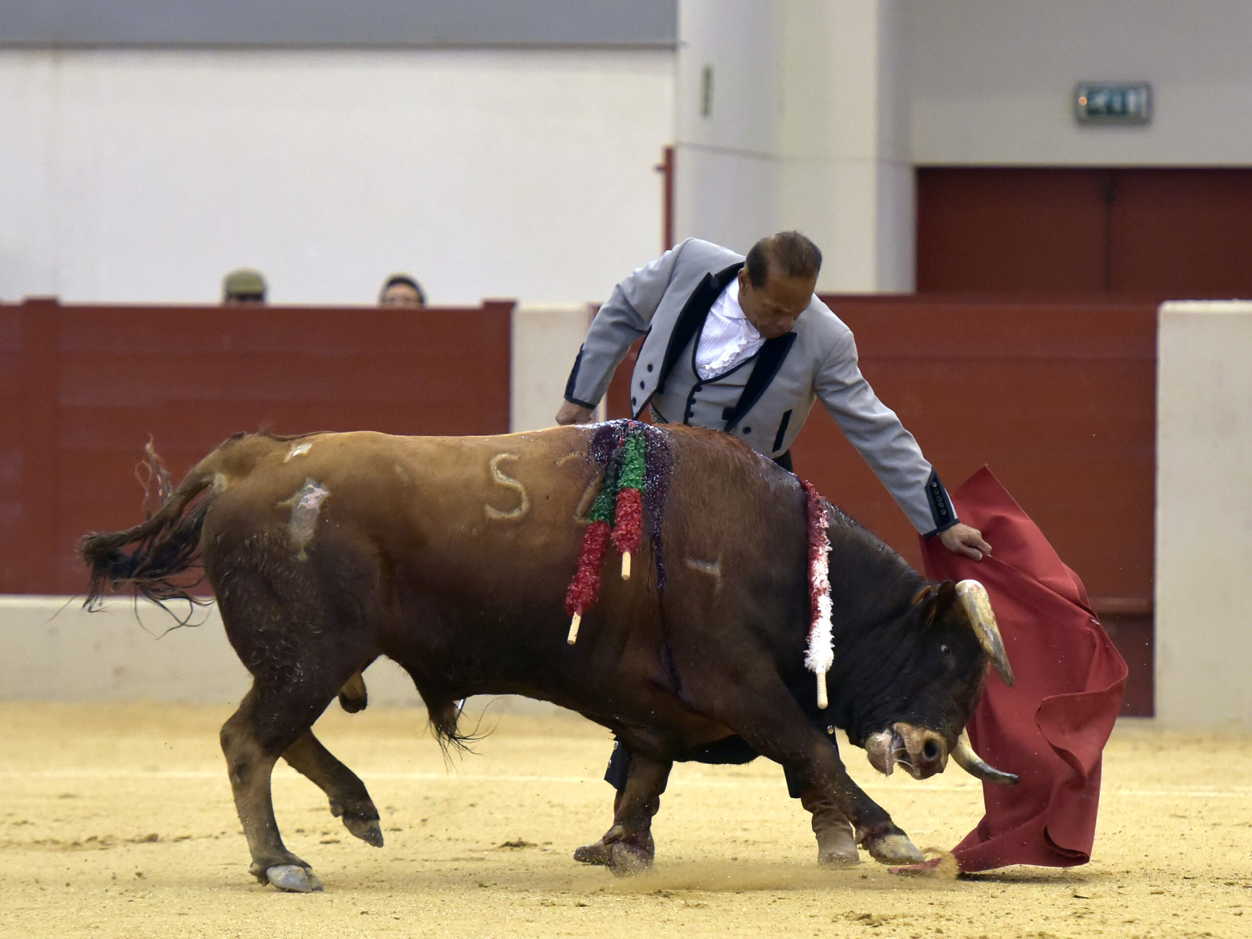 Festival homenaje en Las Rozas a Morenito de Maracay - Sábado 3 de marzo de 2018
