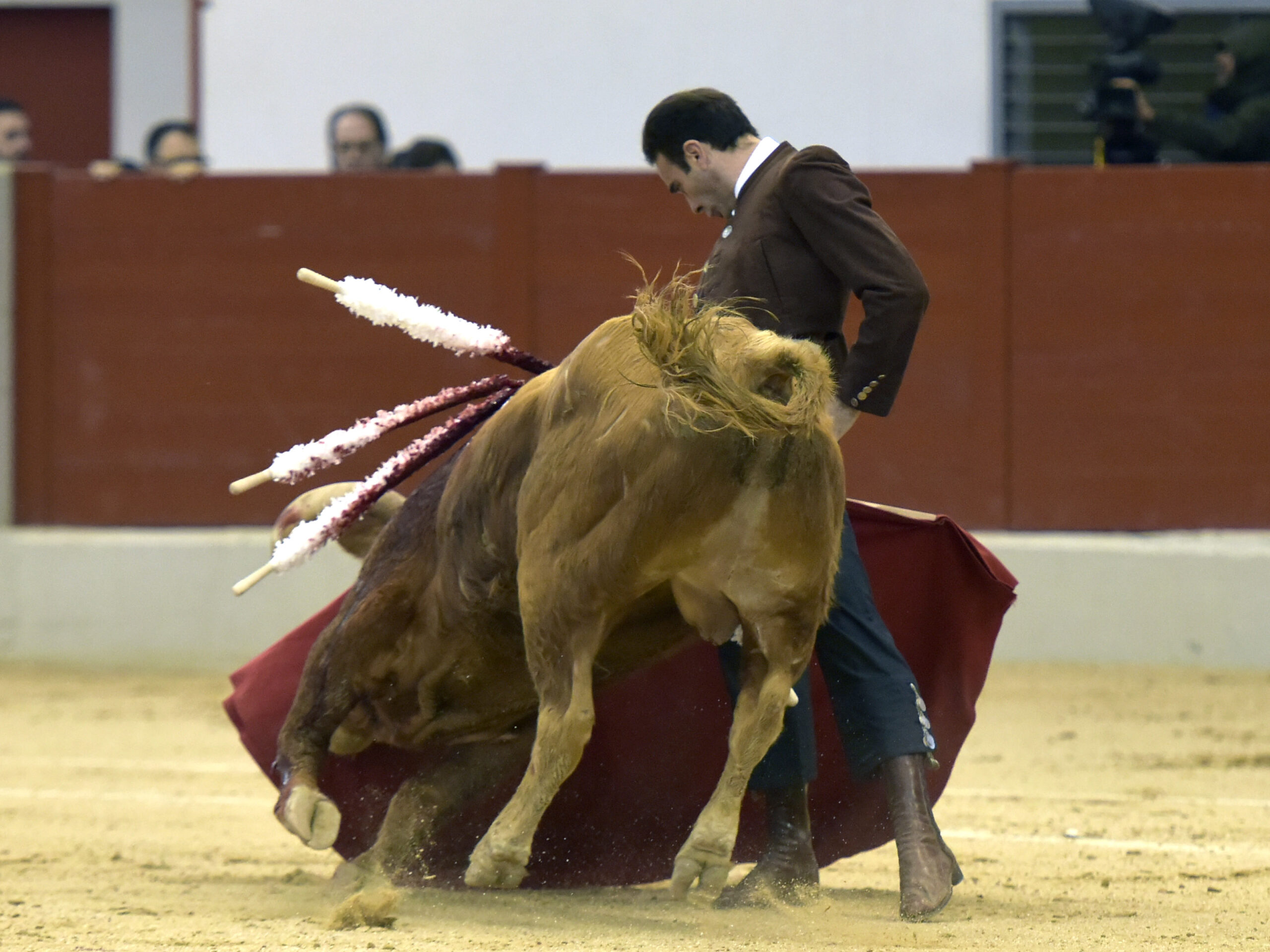 Festival homenaje en Las Rozas a Morenito de Maracay - Sábado 3 de marzo de 2018