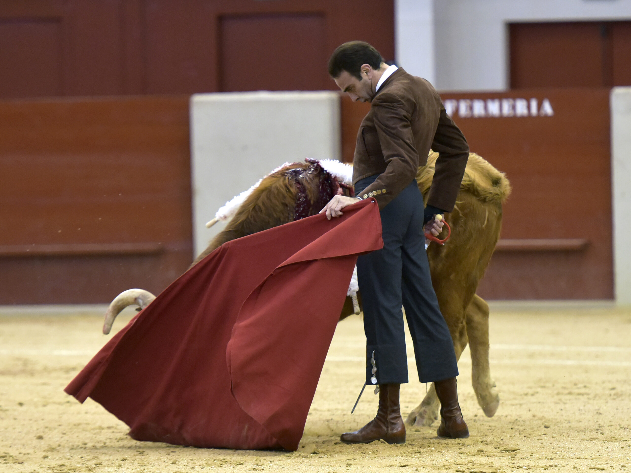 Festival homenaje en Las Rozas a Morenito de Maracay - Sábado 3 de marzo de 2018