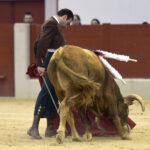 Festival homenaje en Las Rozas a Morenito de Maracay - Sábado 3 de marzo de 2018