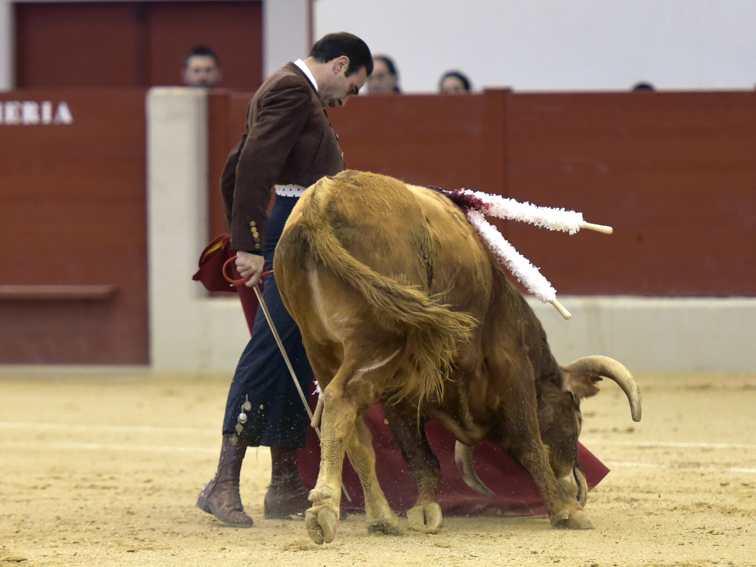 Festival homenaje en Las Rozas a Morenito de Maracay - Sábado 3 de marzo de 2018