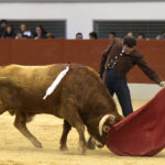 Festival homenaje en Las Rozas a Morenito de Maracay - Sábado 3 de marzo de 2018