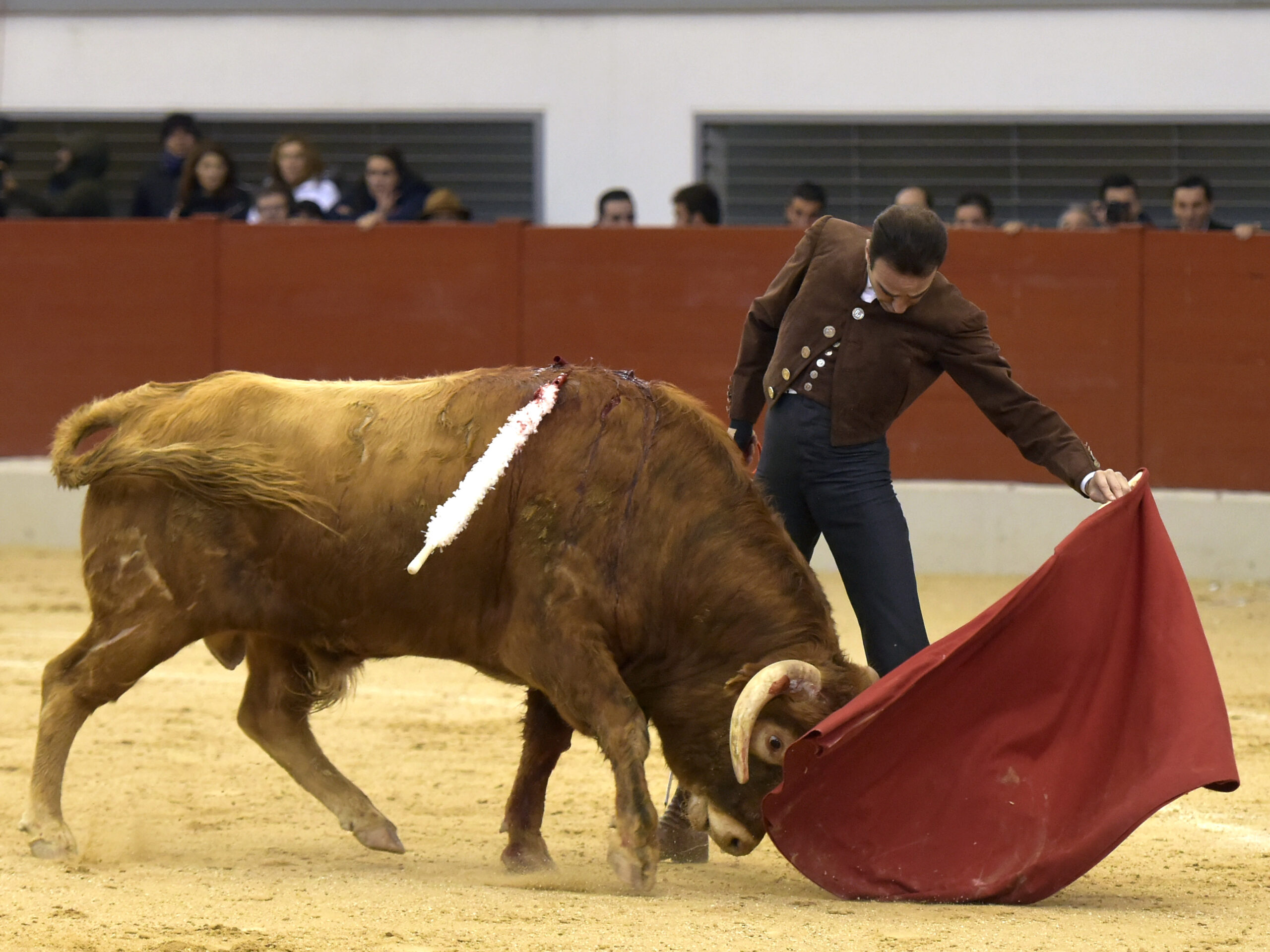 Festival homenaje en Las Rozas a Morenito de Maracay - Sábado 3 de marzo de 2018