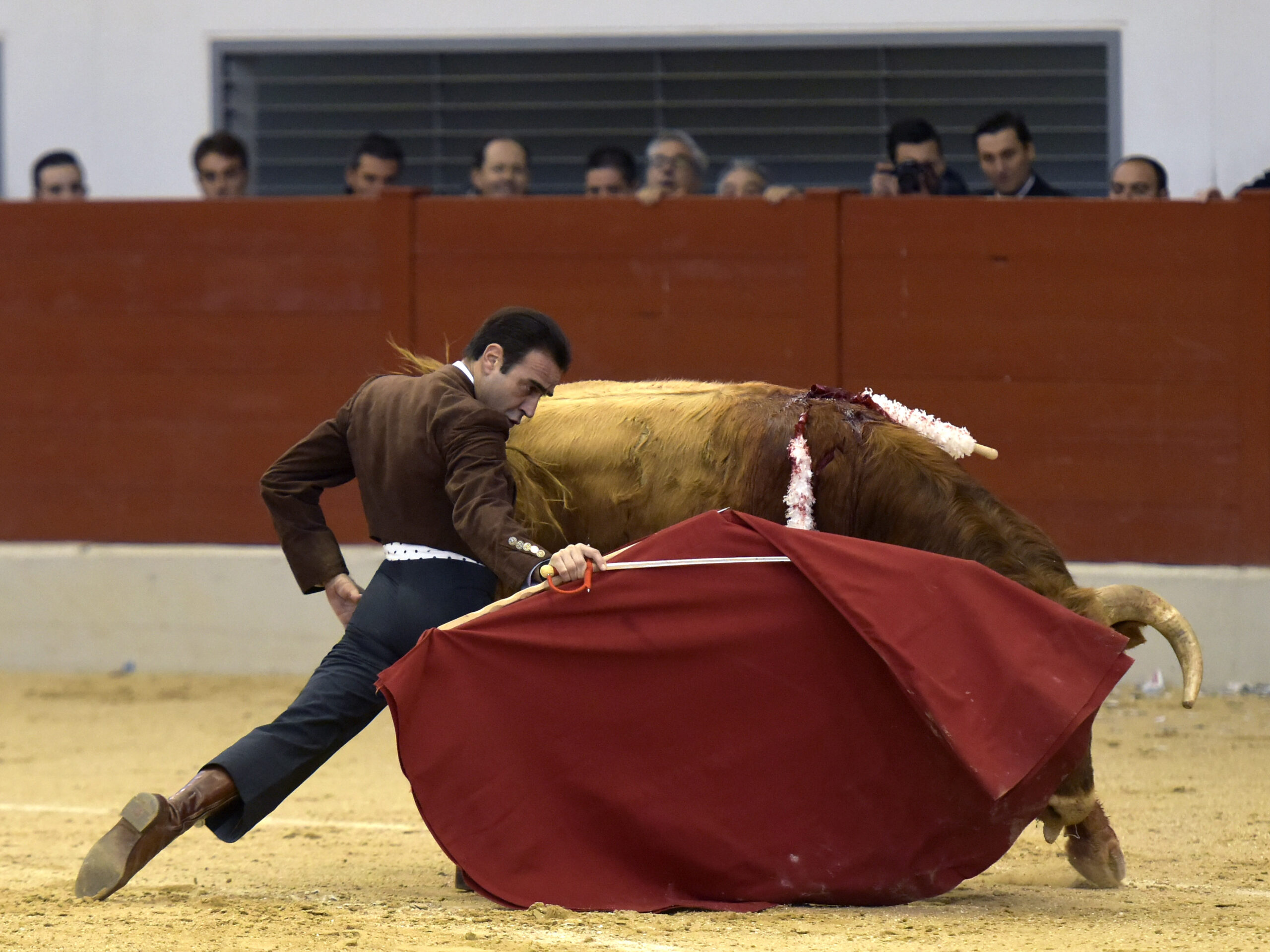 Festival homenaje en Las Rozas a Morenito de Maracay - Sábado 3 de marzo de 2018