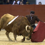 Festival homenaje en Las Rozas a Morenito de Maracay - Sábado 3 de marzo de 2018