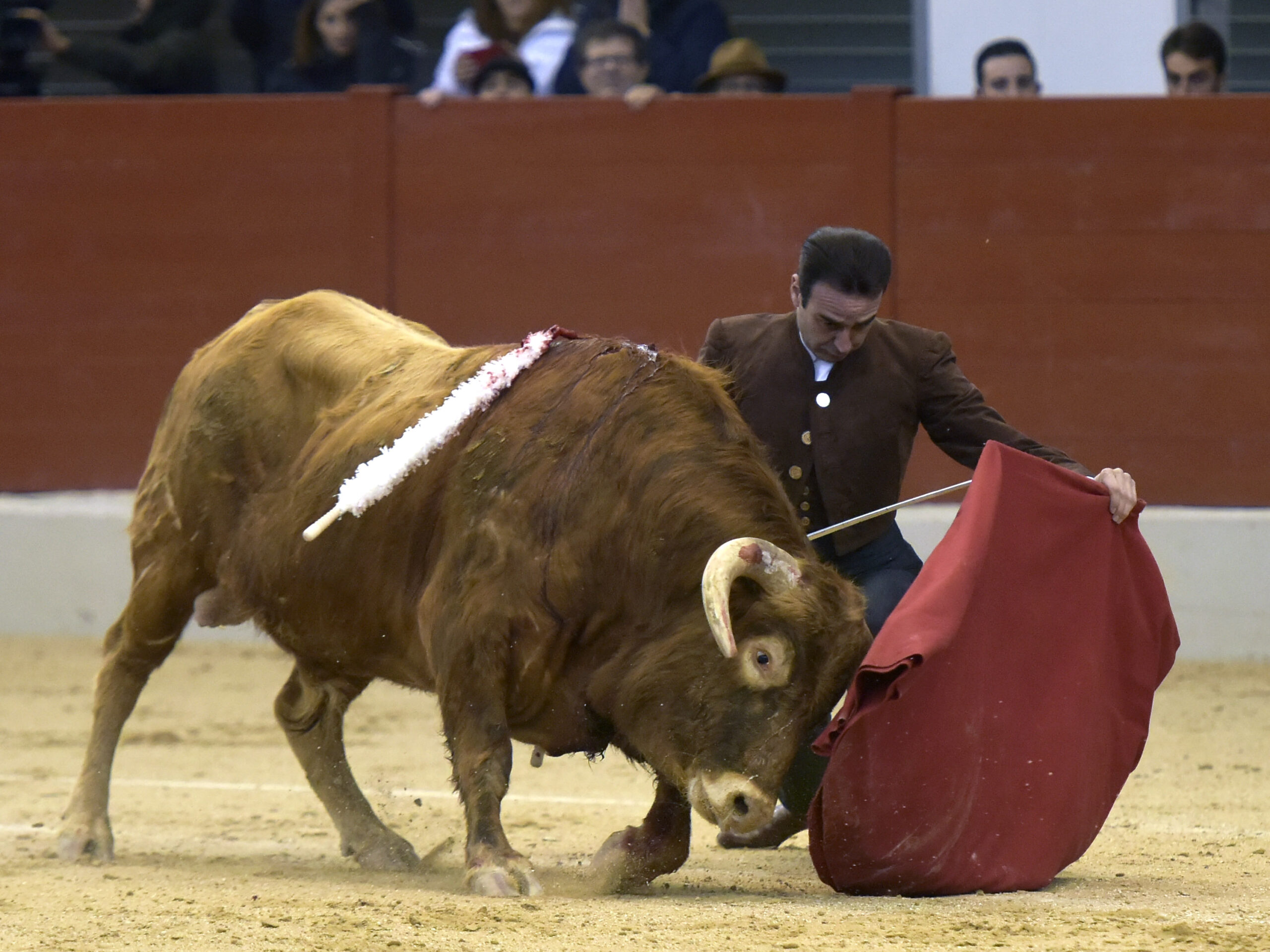 Festival homenaje en Las Rozas a Morenito de Maracay - Sábado 3 de marzo de 2018