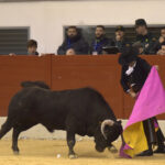 Festival homenaje en Las Rozas a Morenito de Maracay - Sábado 3 de marzo de 2018