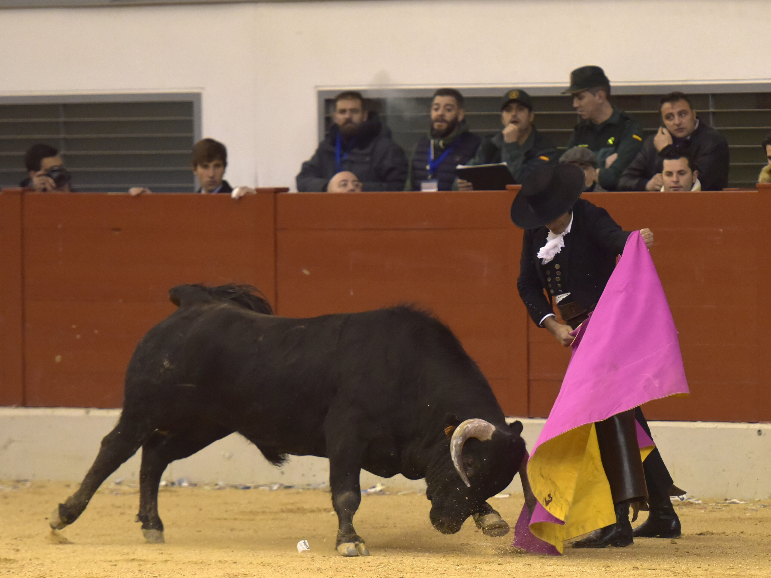 Festival homenaje en Las Rozas a Morenito de Maracay - Sábado 3 de marzo de 2018