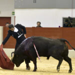 Festival homenaje en Las Rozas a Morenito de Maracay - Sábado 3 de marzo de 2018