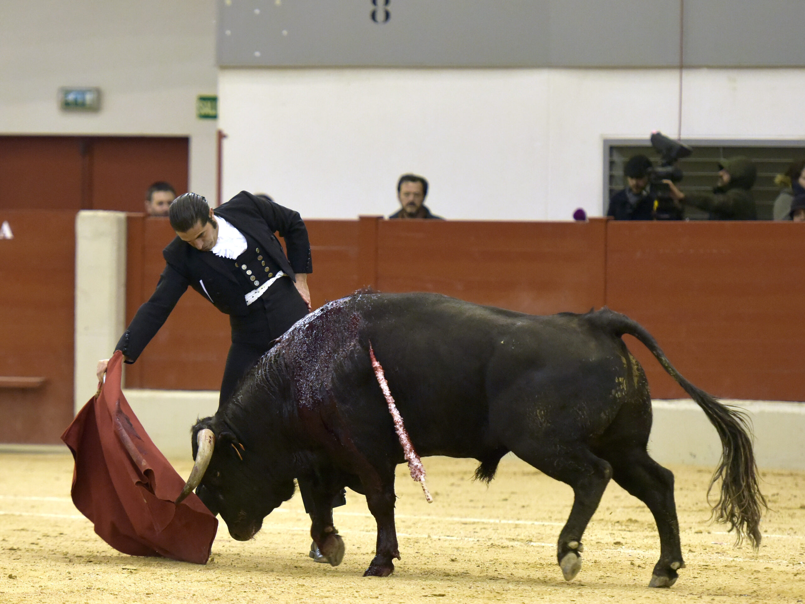 Festival homenaje en Las Rozas a Morenito de Maracay - Sábado 3 de marzo de 2018