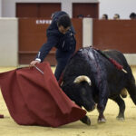 Festival homenaje en Las Rozas a Morenito de Maracay - Sábado 3 de marzo de 2018