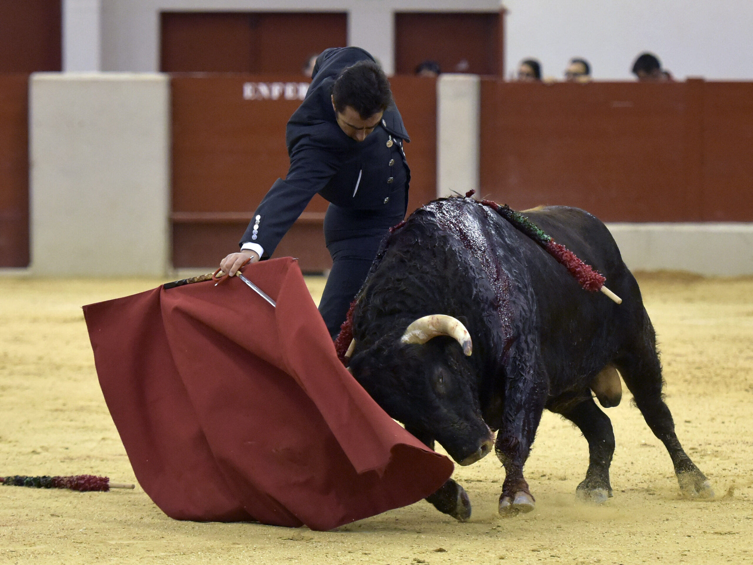 Festival homenaje en Las Rozas a Morenito de Maracay - Sábado 3 de marzo de 2018