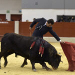 Festival homenaje en Las Rozas a Morenito de Maracay - Sábado 3 de marzo de 2018