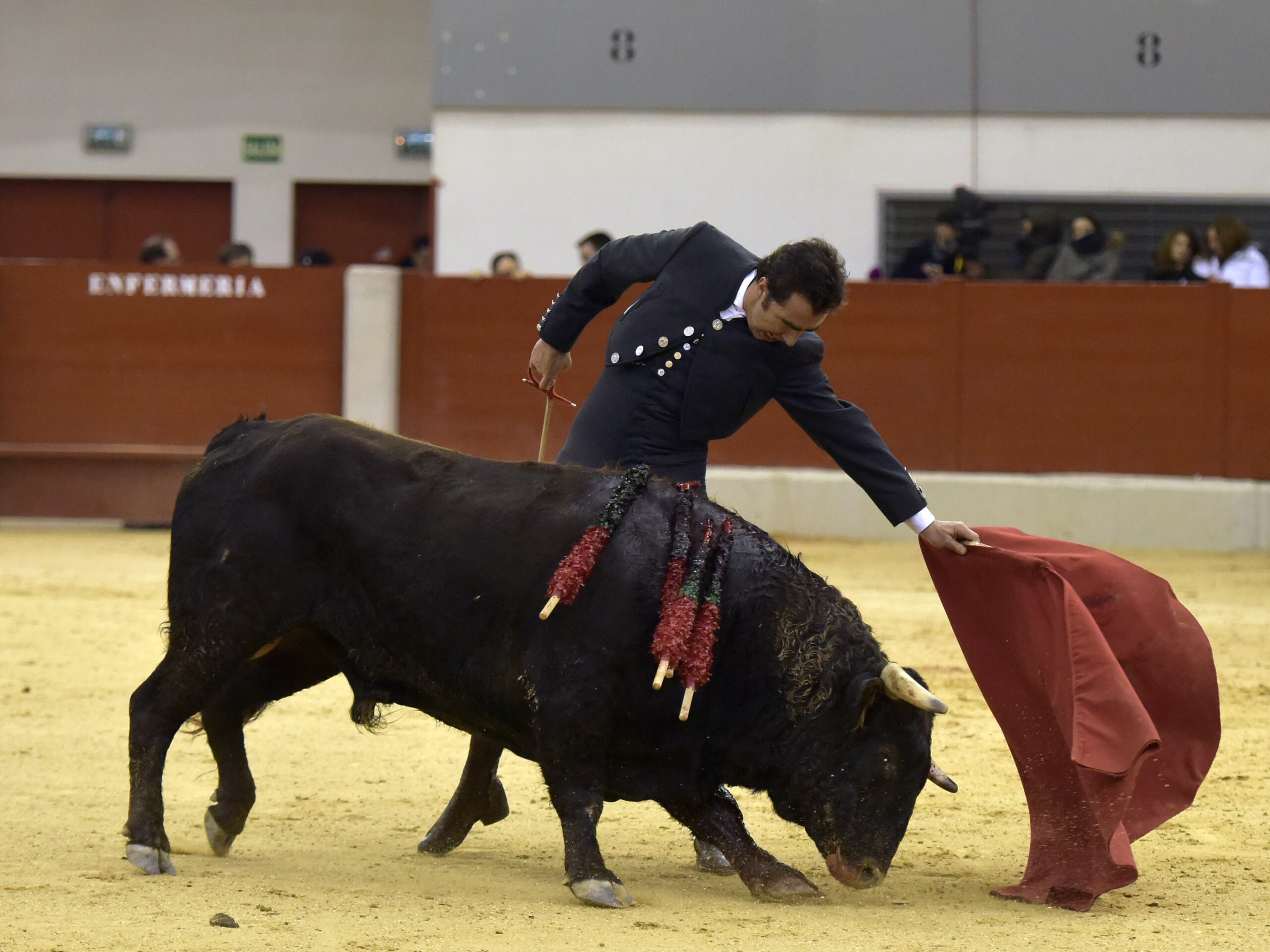 Festival homenaje en Las Rozas a Morenito de Maracay - Sábado 3 de marzo de 2018