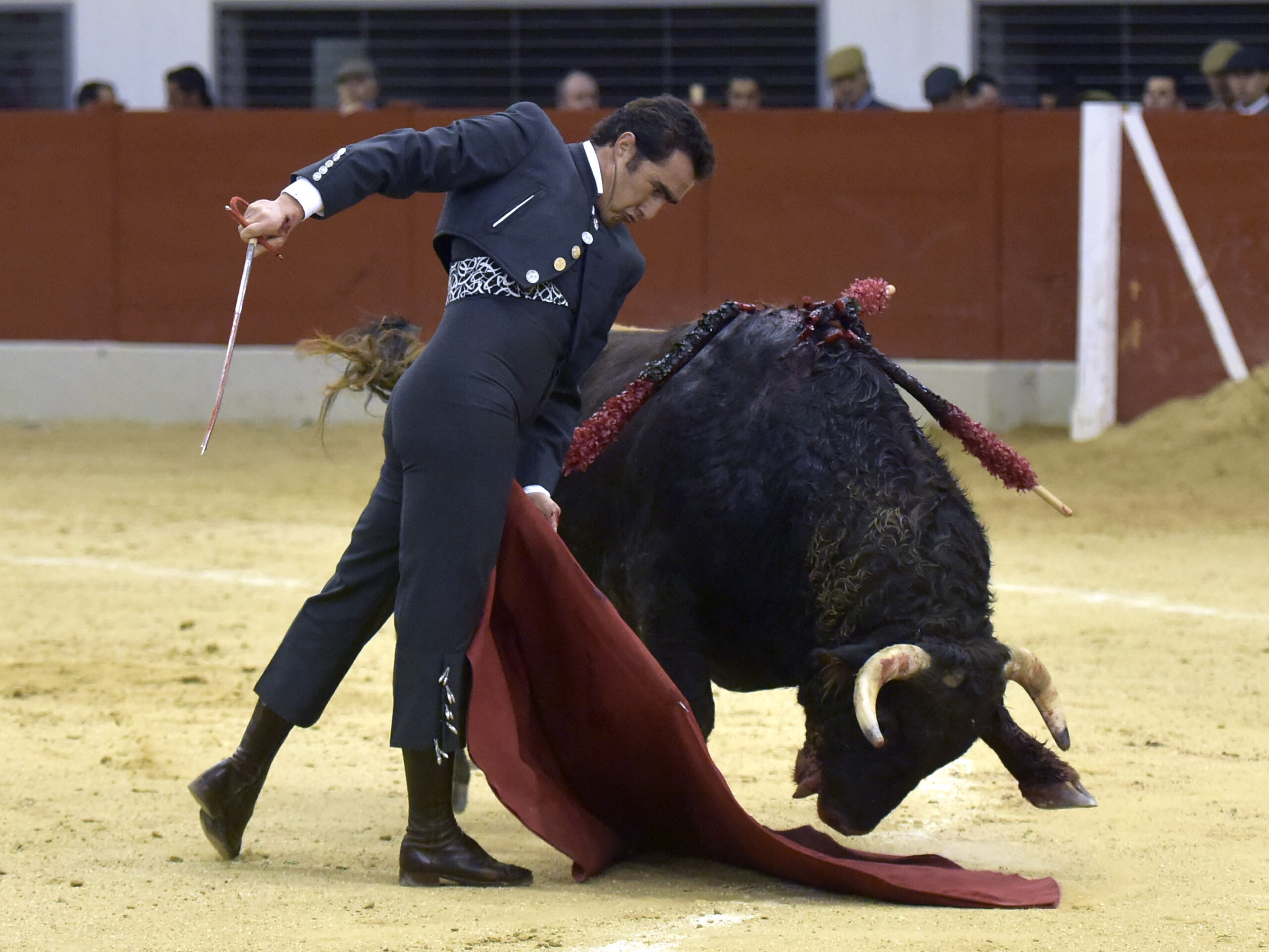 Festival homenaje en Las Rozas a Morenito de Maracay - Sábado 3 de marzo de 2018