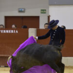 Festival homenaje en Las Rozas a Morenito de Maracay - Sábado 3 de marzo de 2018