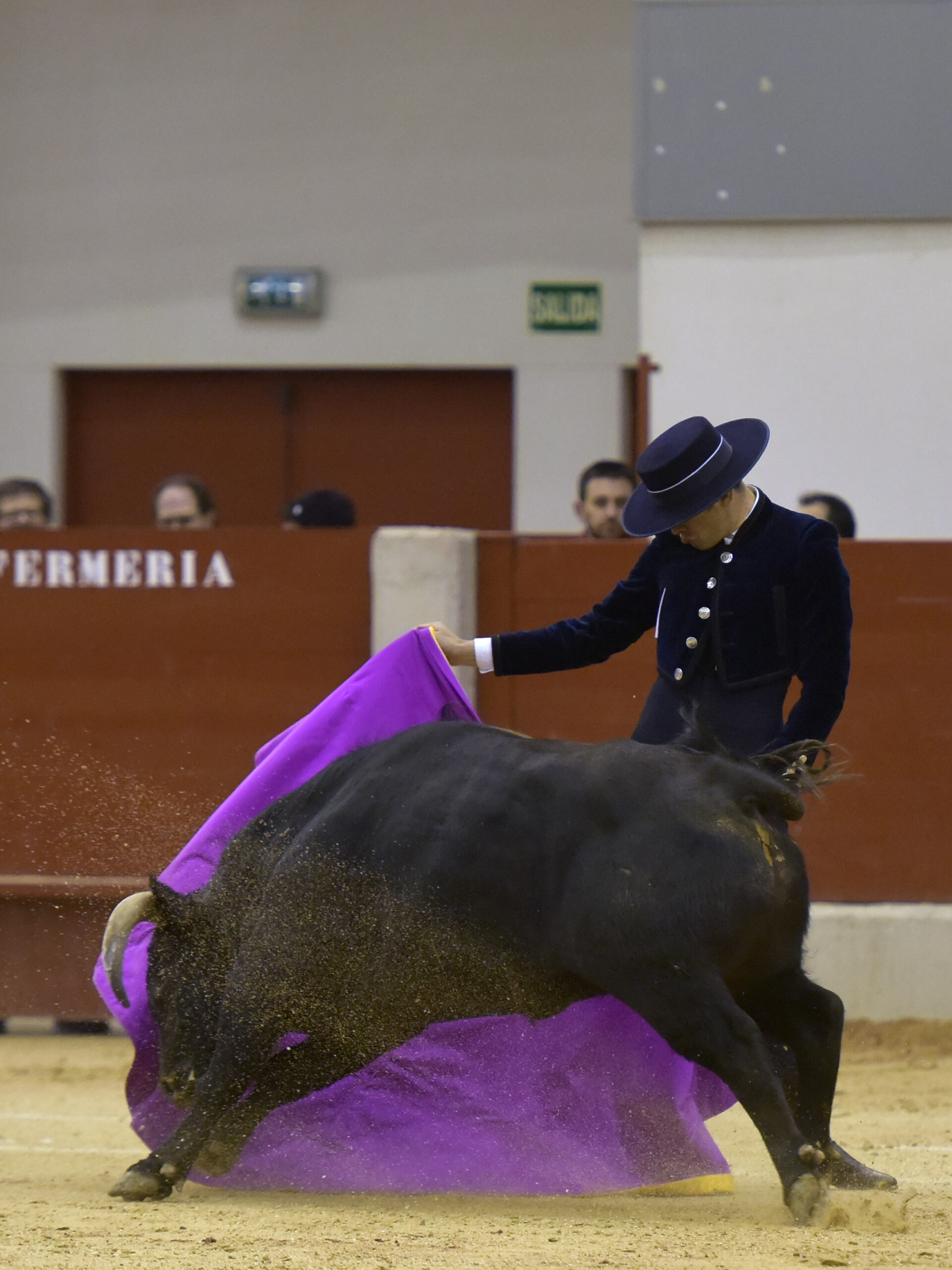 Festival homenaje en Las Rozas a Morenito de Maracay - Sábado 3 de marzo de 2018