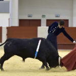 Festival homenaje en Las Rozas a Morenito de Maracay - Sábado 3 de marzo de 2018