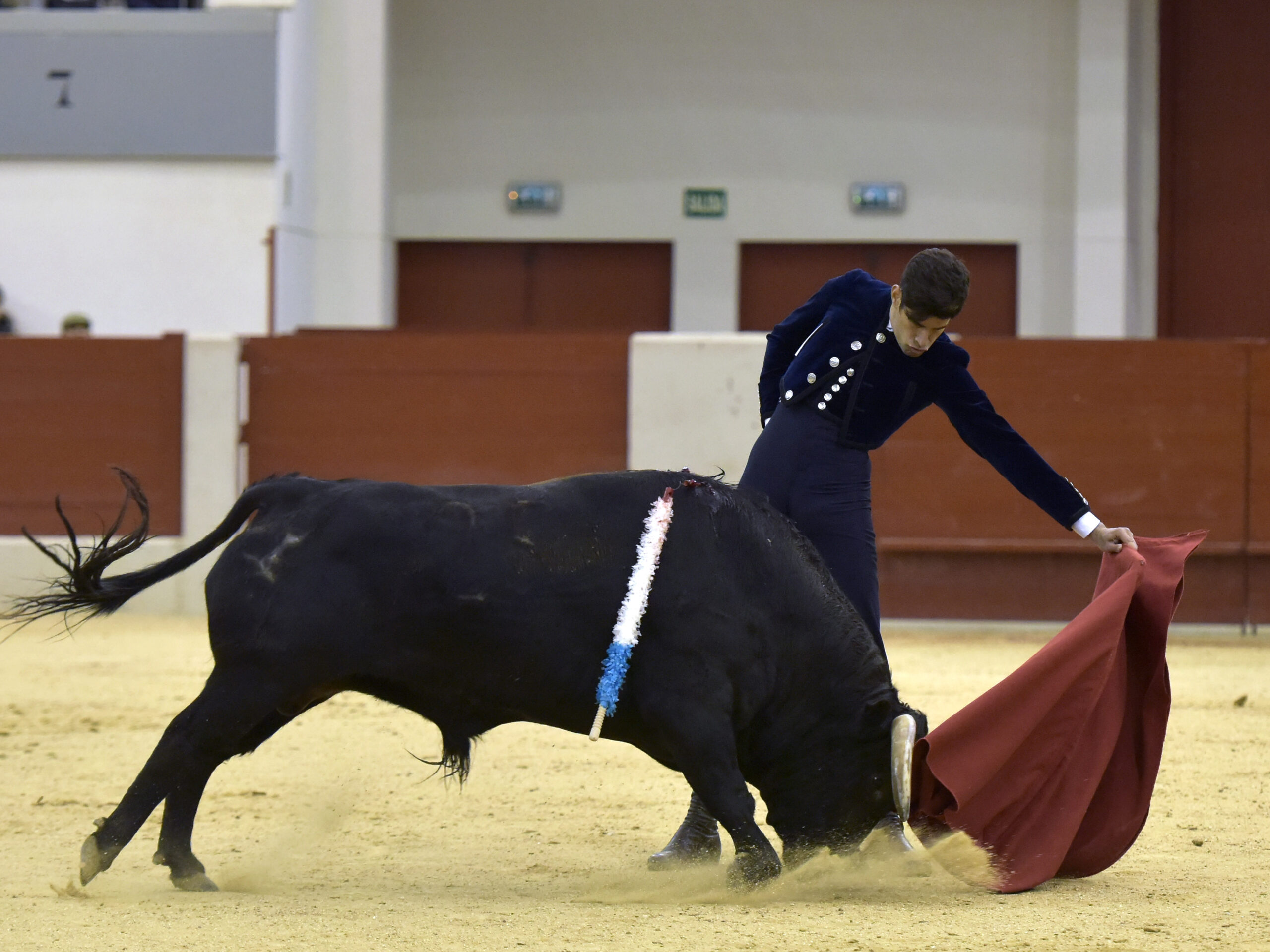 Festival homenaje en Las Rozas a Morenito de Maracay - Sábado 3 de marzo de 2018
