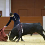 Festival homenaje en Las Rozas a Morenito de Maracay - Sábado 3 de marzo de 2018