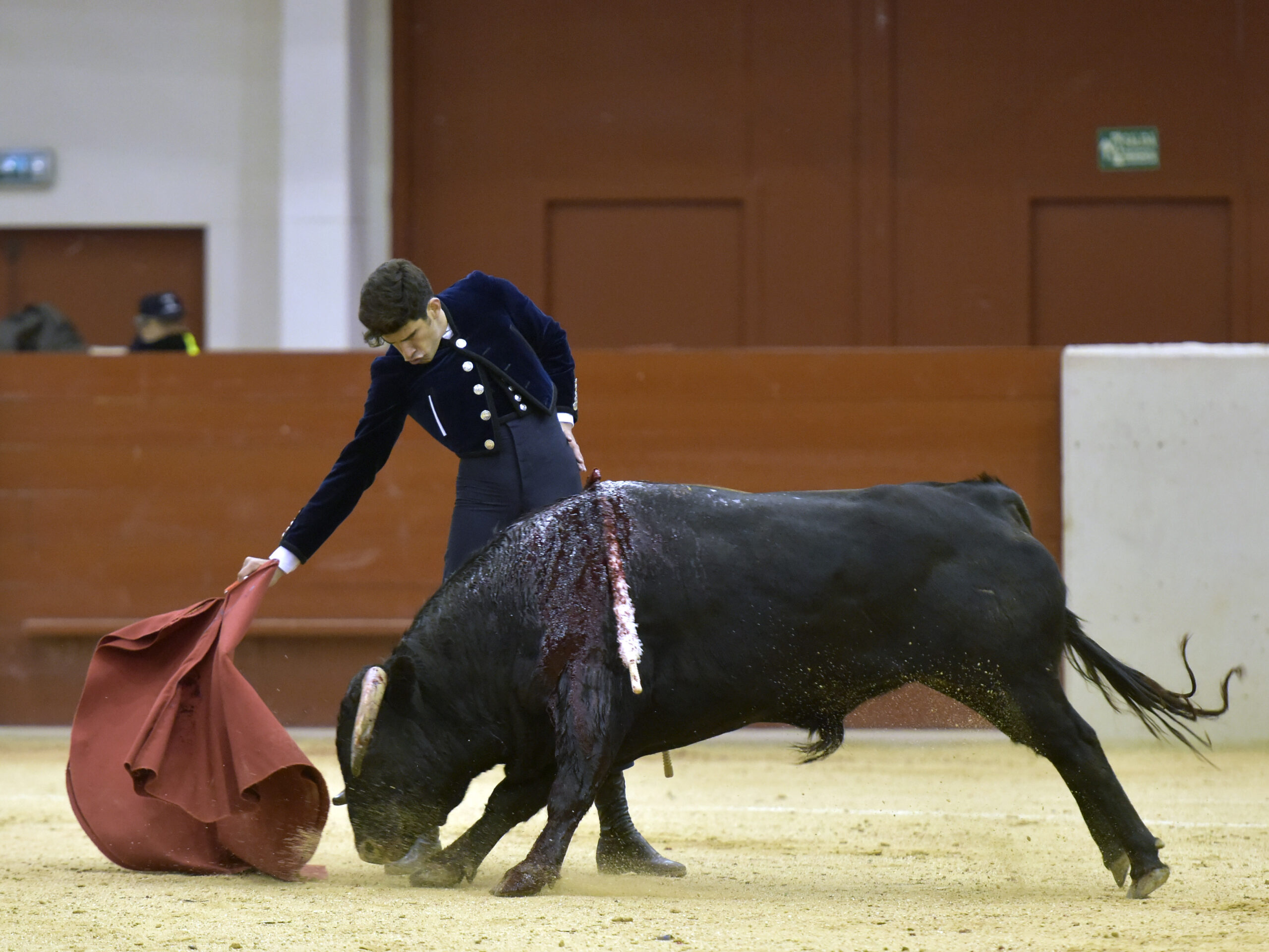 Festival homenaje en Las Rozas a Morenito de Maracay - Sábado 3 de marzo de 2018