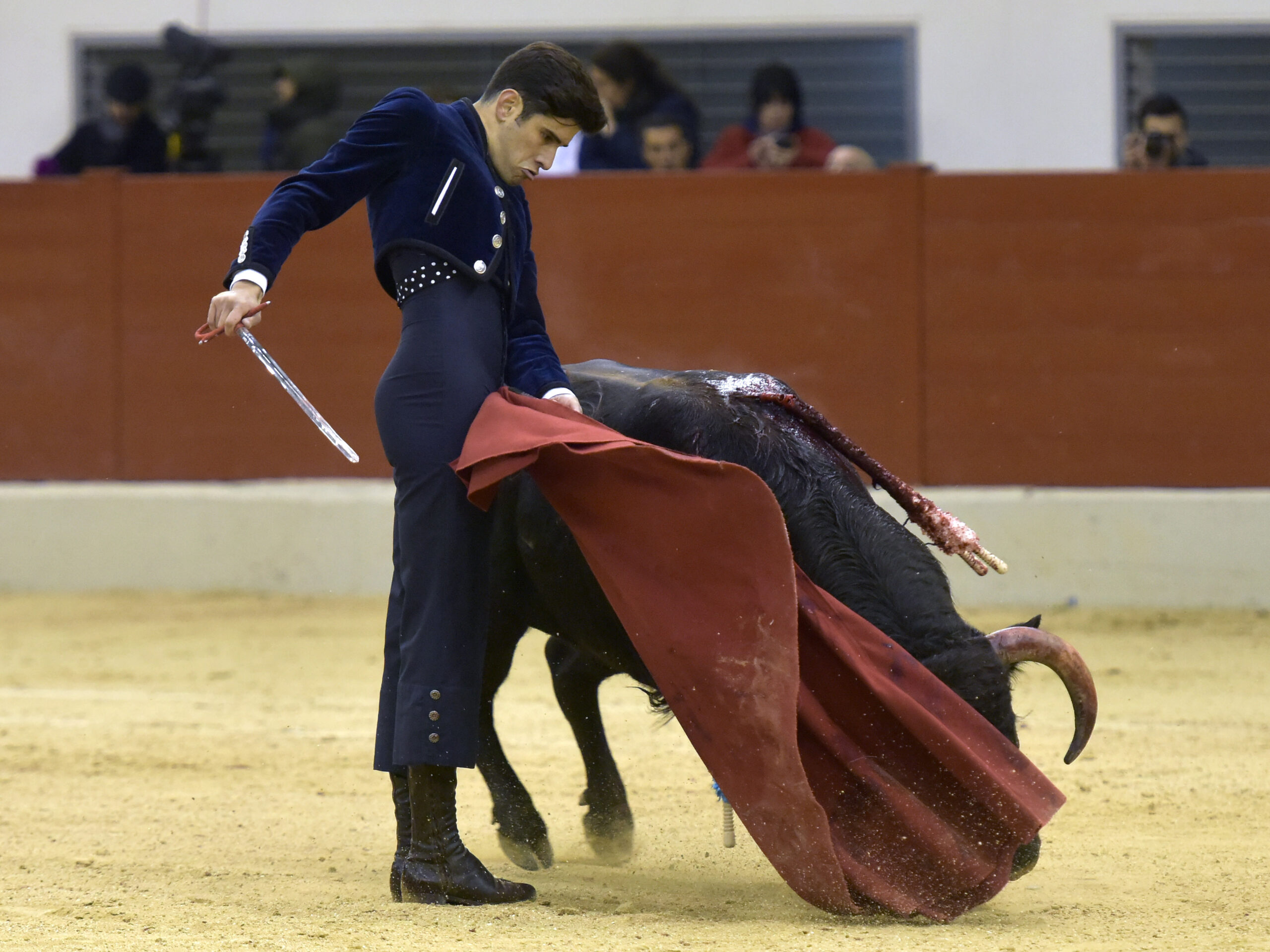 Festival homenaje en Las Rozas a Morenito de Maracay - Sábado 3 de marzo de 2018