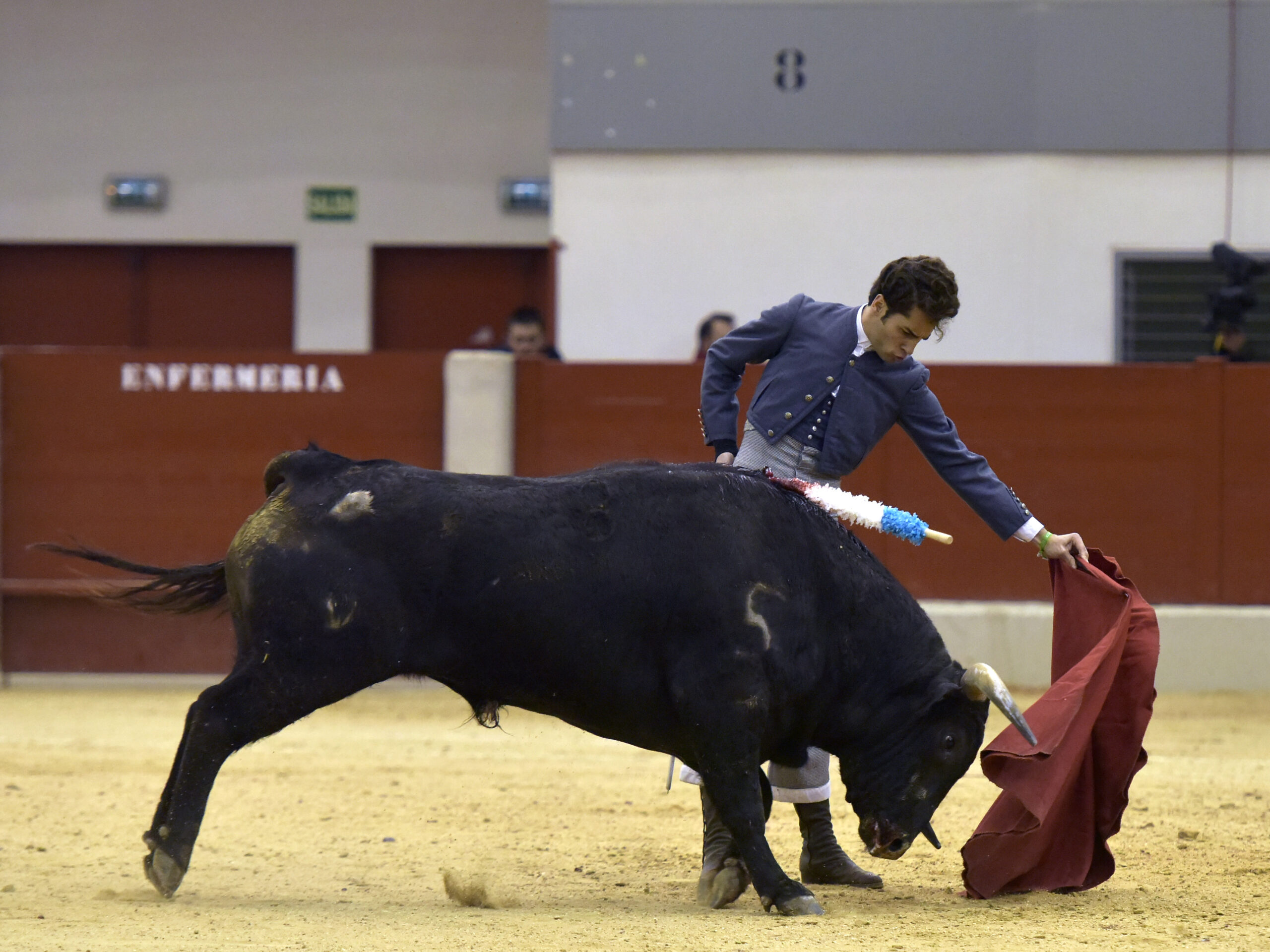 Festival homenaje en Las Rozas a Morenito de Maracay - Sábado 3 de marzo de 2018