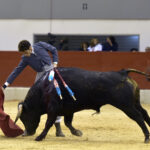 Festival homenaje en Las Rozas a Morenito de Maracay - Sábado 3 de marzo de 2018