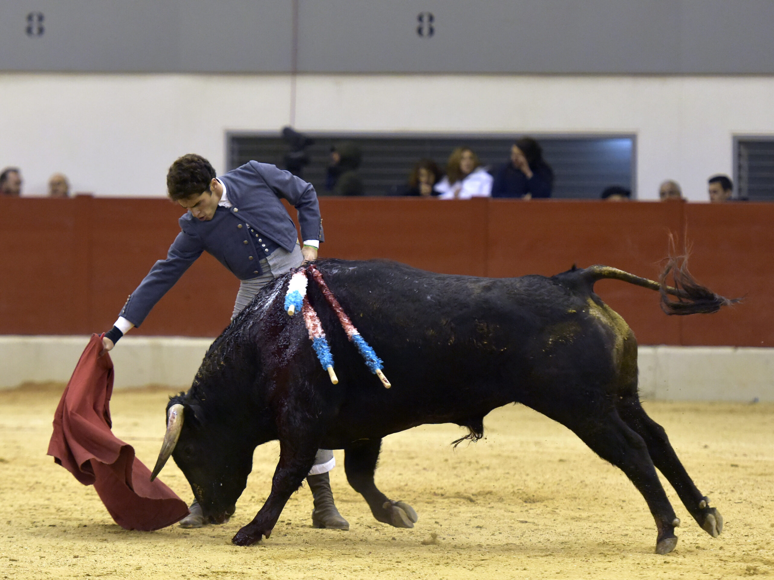 Festival homenaje en Las Rozas a Morenito de Maracay - Sábado 3 de marzo de 2018