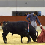 Festival homenaje en Las Rozas a Morenito de Maracay - Sábado 3 de marzo de 2018