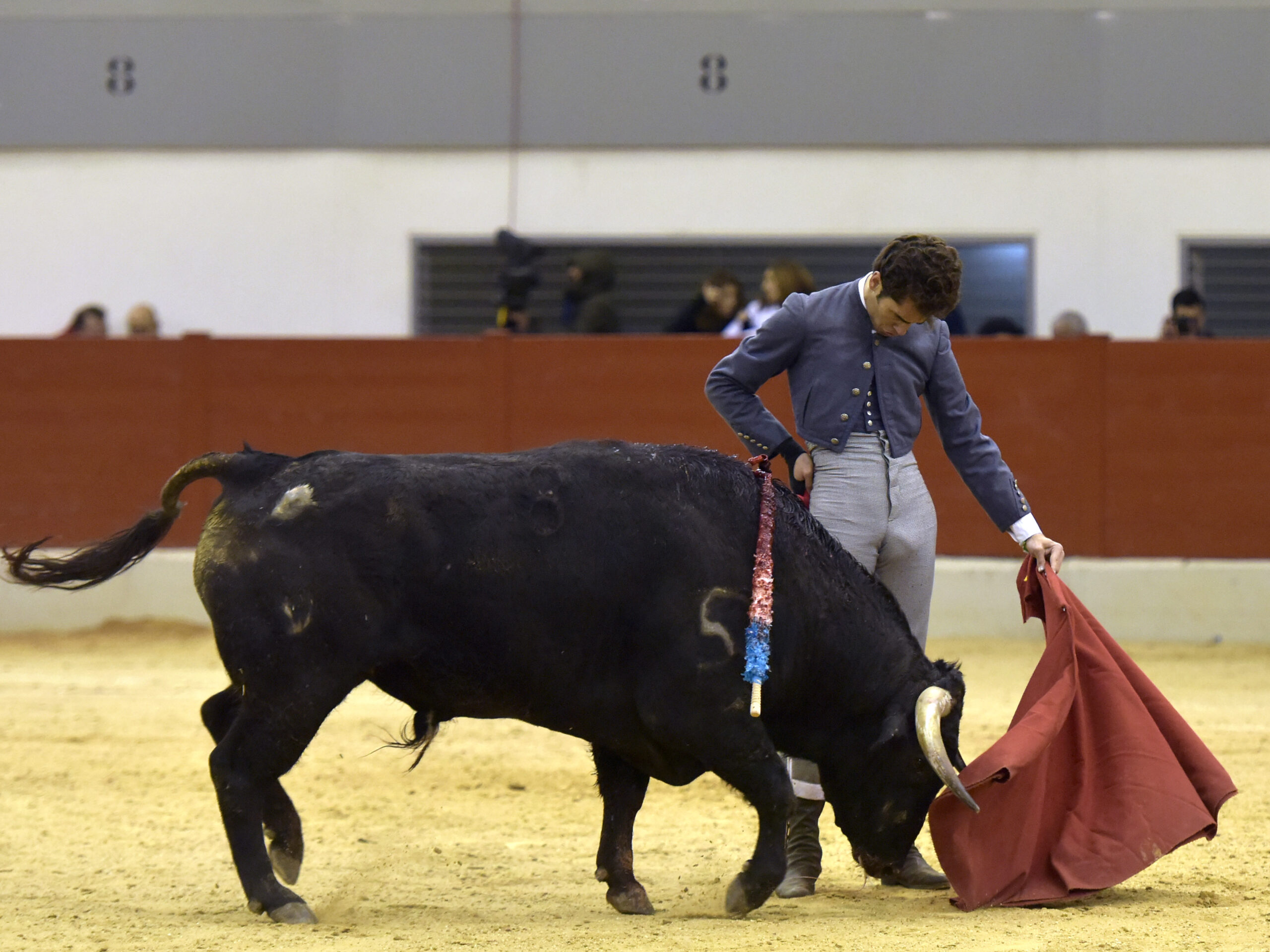 Festival homenaje en Las Rozas a Morenito de Maracay - Sábado 3 de marzo de 2018