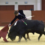 Festival homenaje en Las Rozas a Morenito de Maracay - Sábado 3 de marzo de 2018