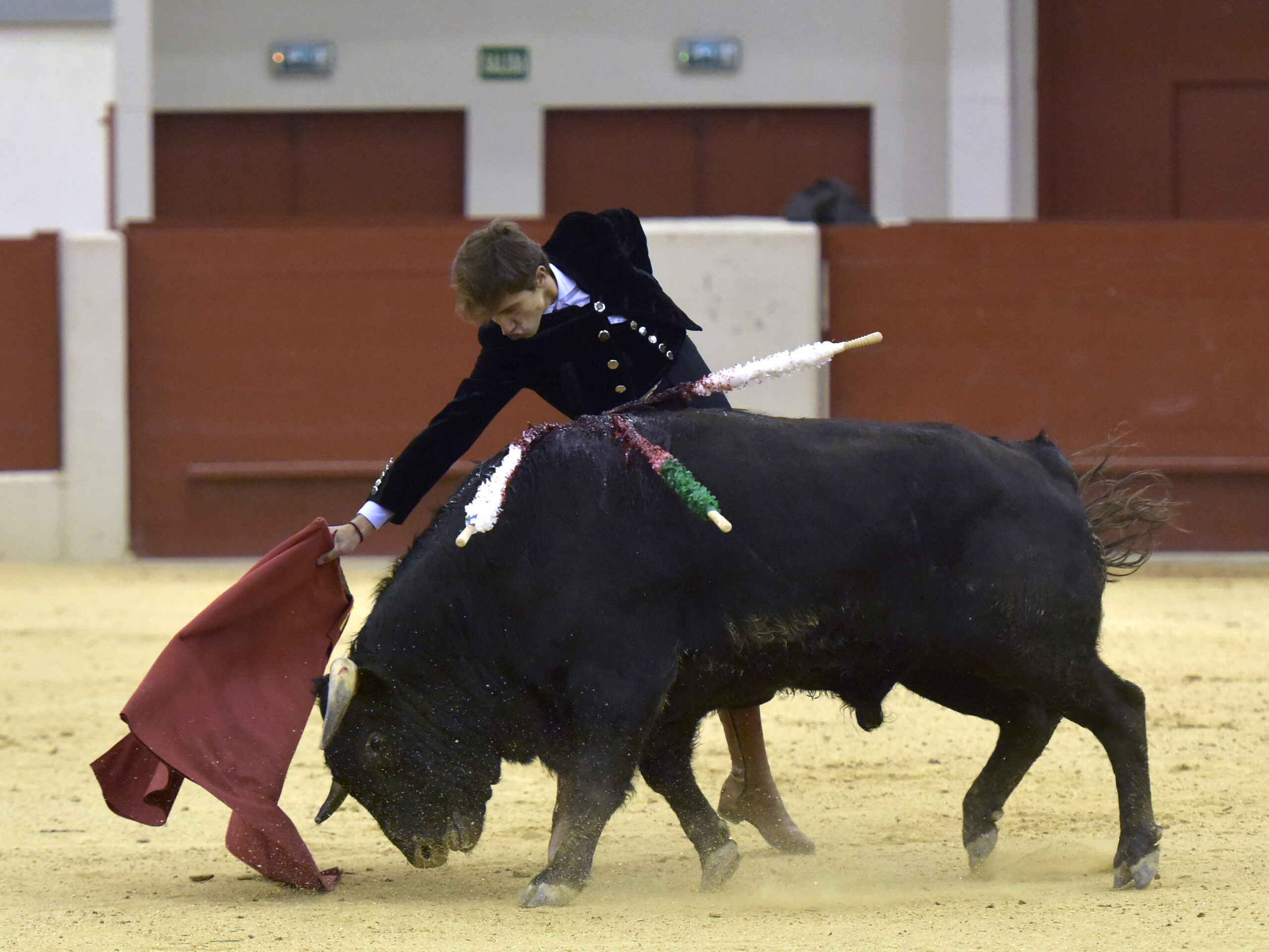 Festival homenaje en Las Rozas a Morenito de Maracay - Sábado 3 de marzo de 2018
