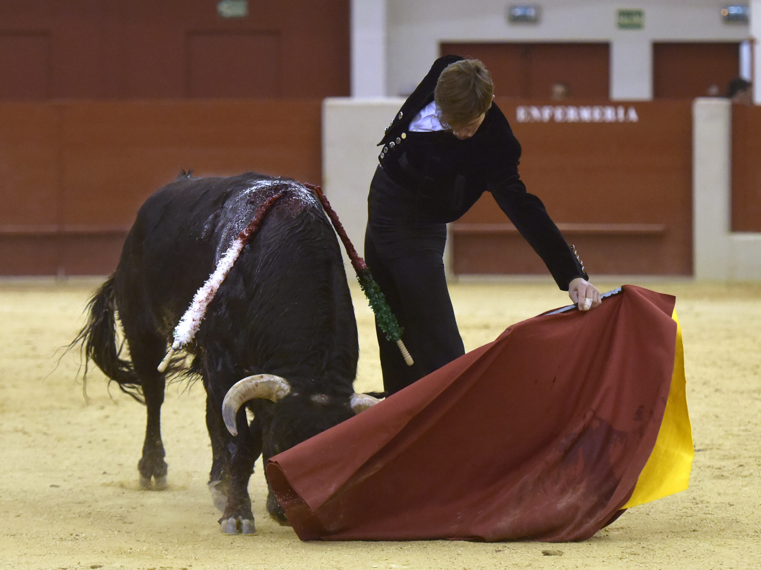 Festival homenaje en Las Rozas a Morenito de Maracay - Sábado 3 de marzo de 2018