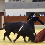 Festival homenaje en Las Rozas a Morenito de Maracay - Sábado 3 de marzo de 2018
