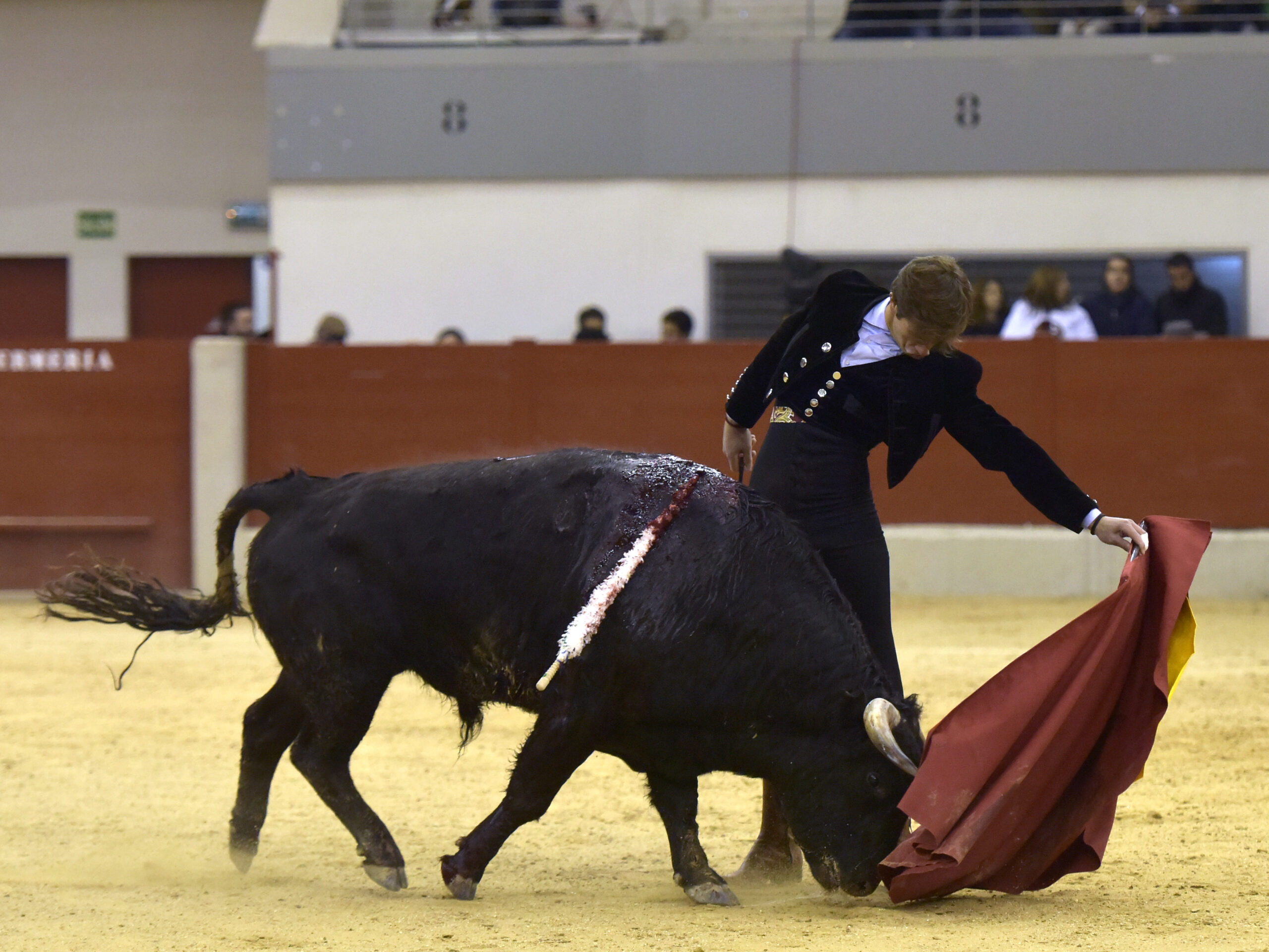 Festival homenaje en Las Rozas a Morenito de Maracay - Sábado 3 de marzo de 2018
