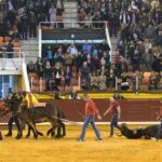 Illescas (Toledo) - Feria del Milagro - Sábado 10 de marzo de 2018