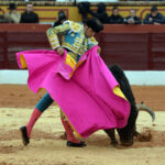 Olivenza(badajoz) - Festejo vespertino del sábado 3 de marzo de 2018