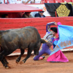 Primera novillada del ciclo "Soñadores de Gloria" en México D.F.